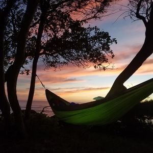 Image post by @islandschoolvoyagers on Instagram