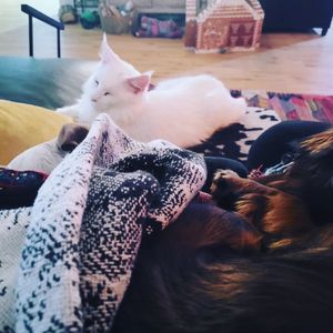 Image post by @hollysmee on Instagram