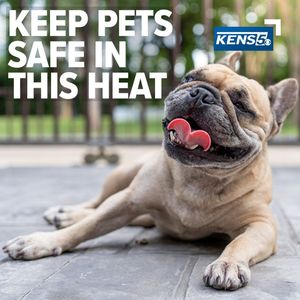 Image post by @kens5 on Instagram