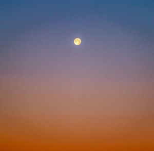 Image post by @sajorden.photos on Instagram