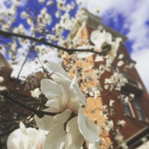 Image post by @shippensburgu on Instagram