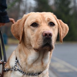Image post by @nyislespup on Instagram