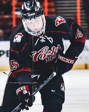 Image post by @verberohockey on Instagram
