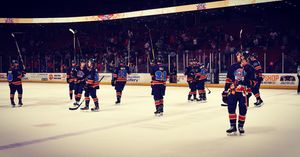 Image post by @swamprabbits on Instagram