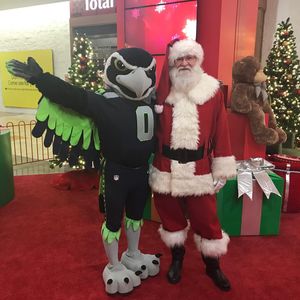 Image post by @blitztheseahawk on Instagram