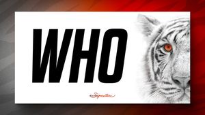 Image post by @DaltonSignature on Twitter