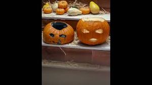 Video post by @clorox on YouTube