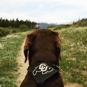 Image post by @cuboulderalumni on Instagram