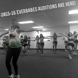 Image post by @fl_everblades on Instagram