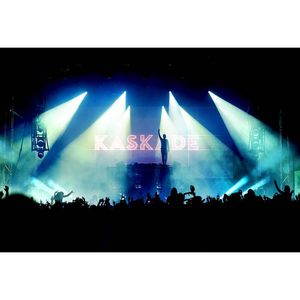 Image post by @kaskade on Instagram