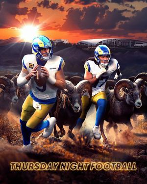 Image post by @nflonprime on Instagram