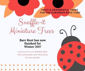 Image post by @SnaffleitMiniatureTrees on Facebook