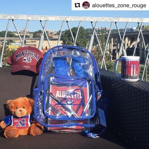 Image post by @mtlalouettes on Instagram
