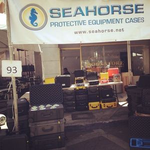 Image post by @seahorsecases on Instagram