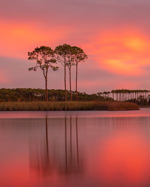 Image post by @southwalton on Instagram