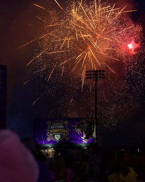 Image post by @lsubaseball on Instagram