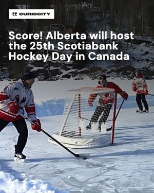 Image post by @curiocitycalgary on Instagram