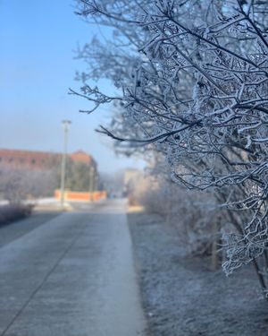 Image post by @northern_iowa on Instagram