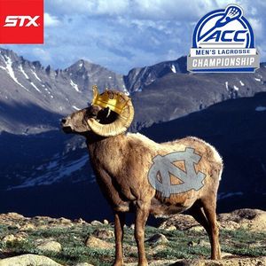 Image post by @stxmlax on Instagram