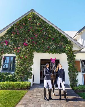 Image post by @sportsphotographermiami on Instagram