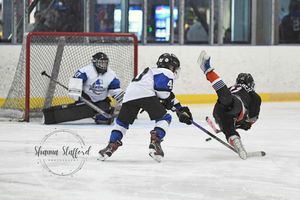 Image post by @shanna_staffordphotography on Instagram