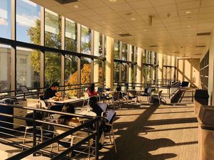 Image post by @hofstrau on Instagram