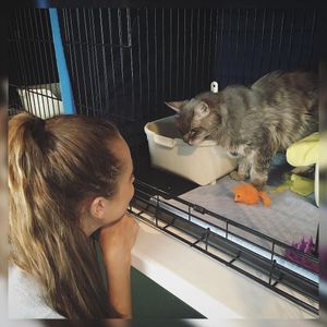 Image post by @rademita on Instagram