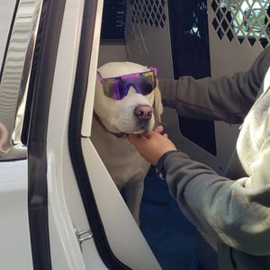 Image post by @mecksheriff on Instagram