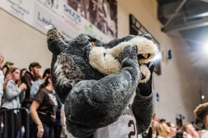 Image post by @gobonnies on Instagram