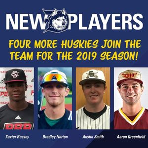 Image post by @duluthhuskies on Instagram