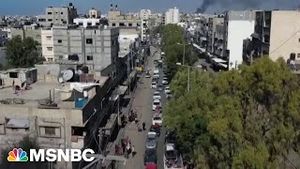 Video post by @msnbc on YouTube