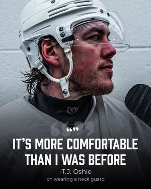 Image post by @warroadhockeyco on Instagram