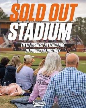 Image post by @gocamelsbsb on Instagram