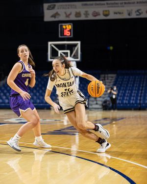 Image post by @msubobcatswbb on Instagram