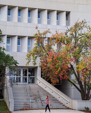 Image post by @tamu on Instagram