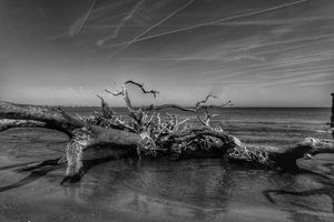 Image post by @davewphotography on Instagram