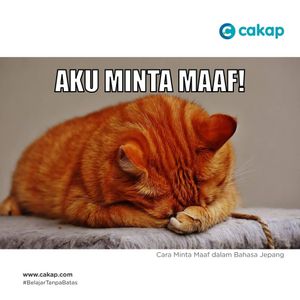 Image post by @cakapcom on Instagram