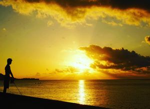 Image post by @islandschoolvoyagers on Instagram
