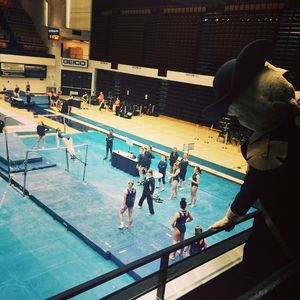 Image post by @gw_gymnastics on Instagram