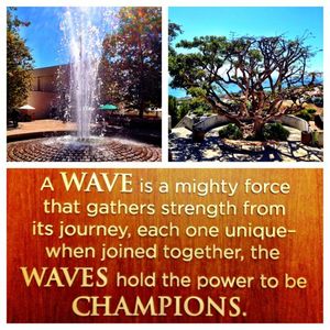 Image post by @pepperdinehoops on Instagram