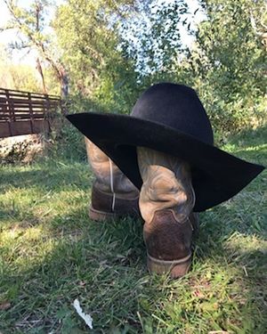 Image post by @ellensburgrodeo on Instagram
