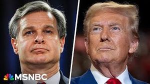 Video post by @msnbc on YouTube