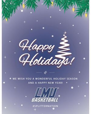 Image post by @lmu_mbb on Instagram