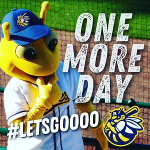Image post by @burlington_bees on Instagram