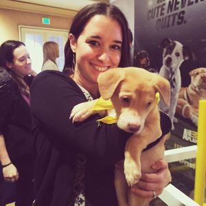 Image post by @animalplanet on Instagram