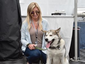 Image post by @courtneyforce on Instagram
