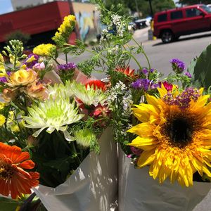 Image post by @grassroots5pts on Instagram