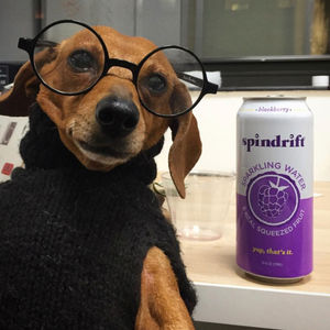 Image post by @drinkspindrift on Instagram