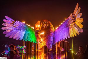 Image post by @nocturnalwland on Instagram