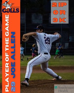 Image post by @newportgulls on Instagram